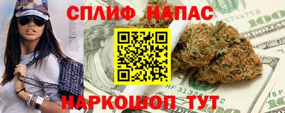 индика Гусиноозёрск