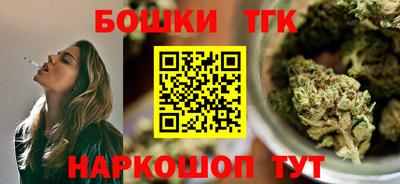индика Гусиноозёрск