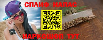 индика Гусиноозёрск